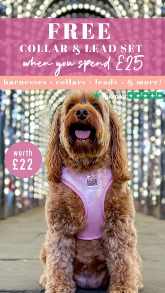 Don't miss out on this deal!