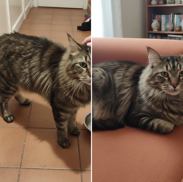 16 anni, 3,6 kg e sempre affamata. 4,7 kg in 8 settimane