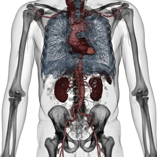 Su Eyaculación Retrógrada Es La Advertencia. Su Corazón Es El Objetivo.