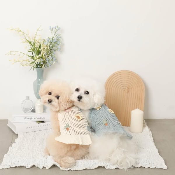 Dog Clothes & Suppliers | monchéri