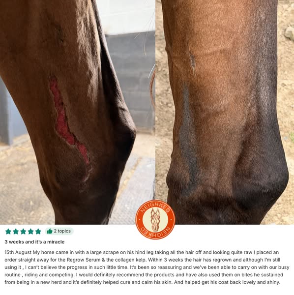 Collagen & Kelp Fondant - Used by Vets