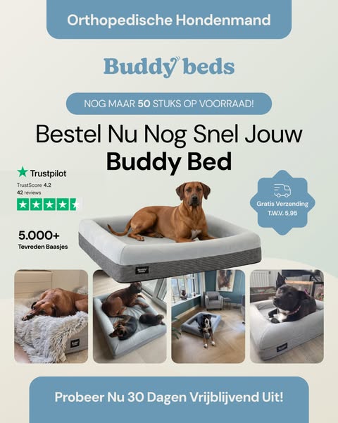 Collectie_Buddy-Beds