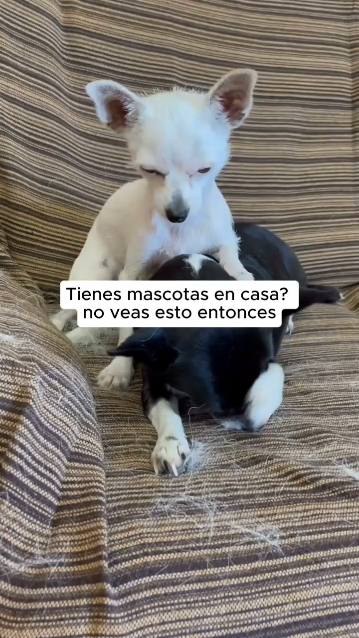 Adiós al pelo con Peloff™