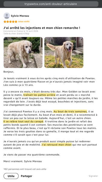 2500 maîtres ont arrêté de regarder leur chien s’affaiblir sans rien pouvoir faire.