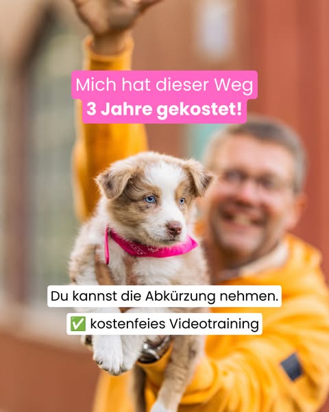 Nimm die Abkürzung