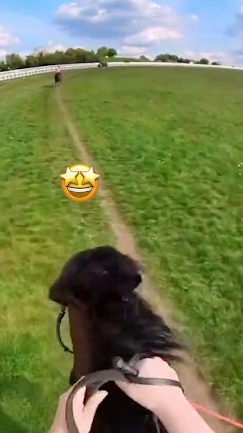 Ingen app. Inga inställningar. Två steg.