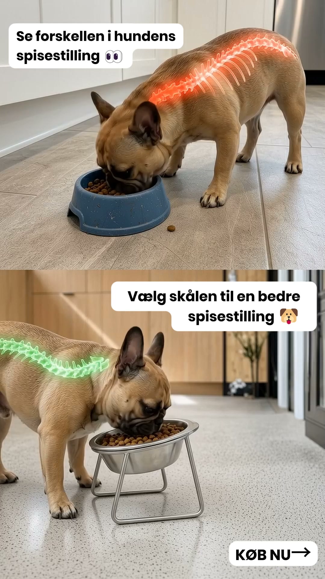 Smid plastikken ud. Opgrader spisetiden.