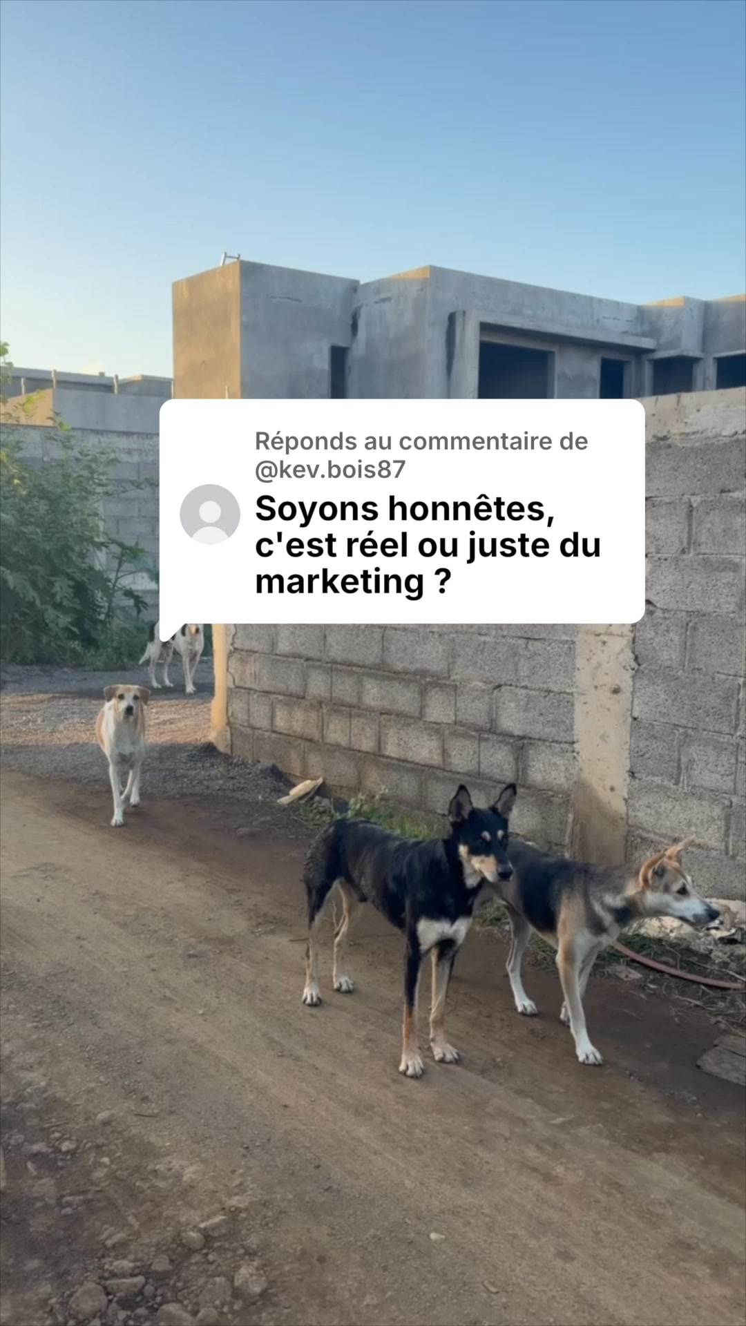 1 bracelet = 10 repas ce soir
