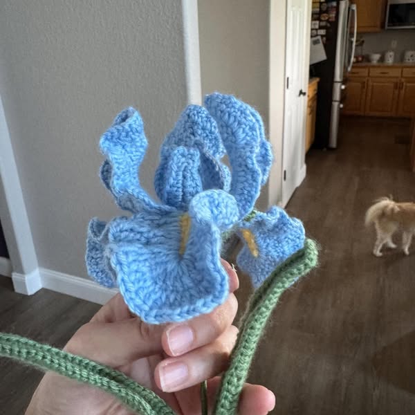 Delicate Iris Blossom Crochet Pattern