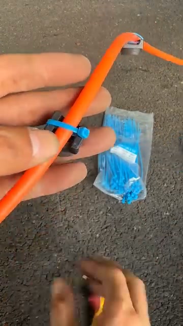 Anúncio de Zomerwind