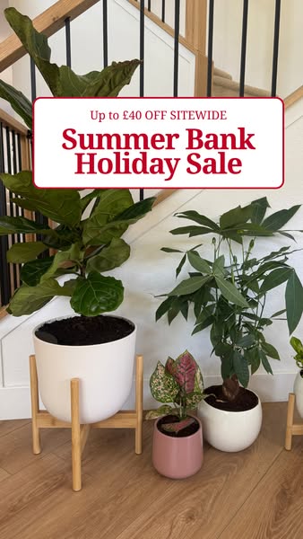 Try Self-Watering Plants