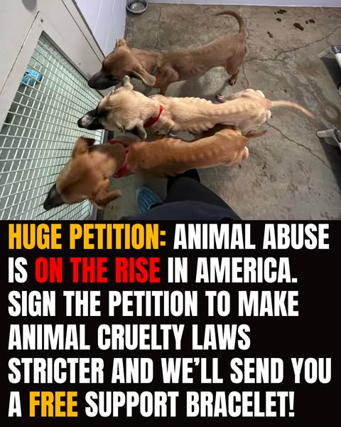 SIGN PETITION