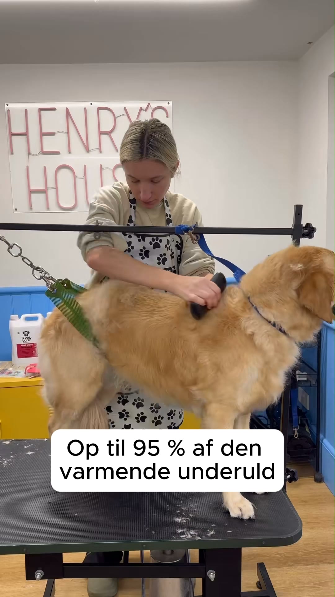 50 % Rabat + gratis fragt