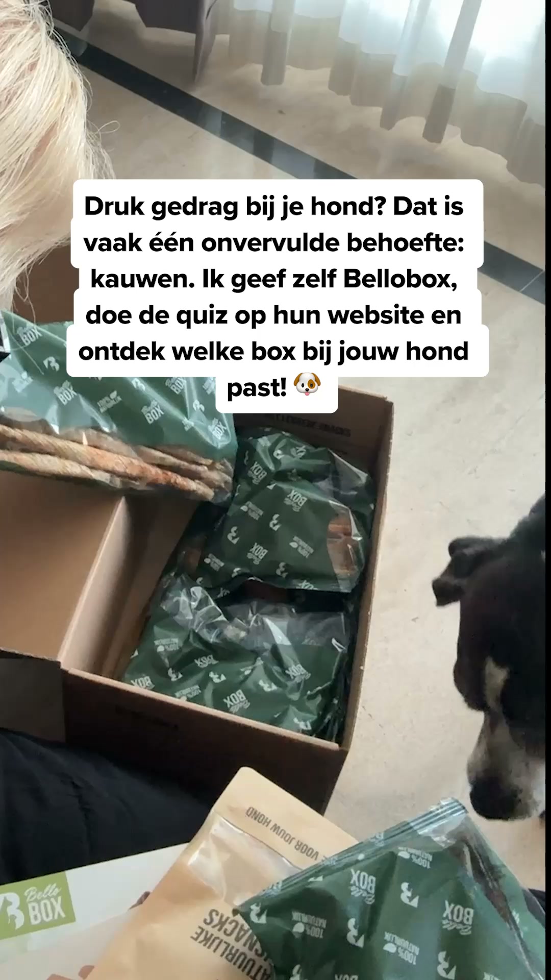 Ontdek de snackbox voor jouw hond