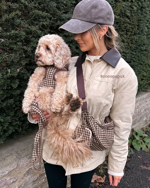 Match With Your Pup