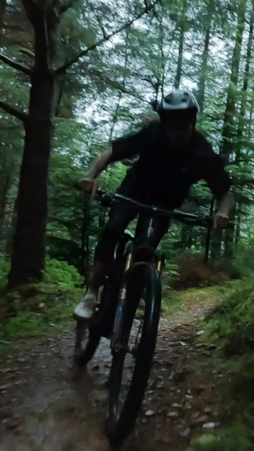 Spécialistes du Vélo Electrique