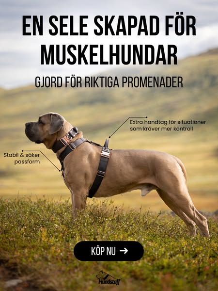 Valt av över 100 000 hundägare