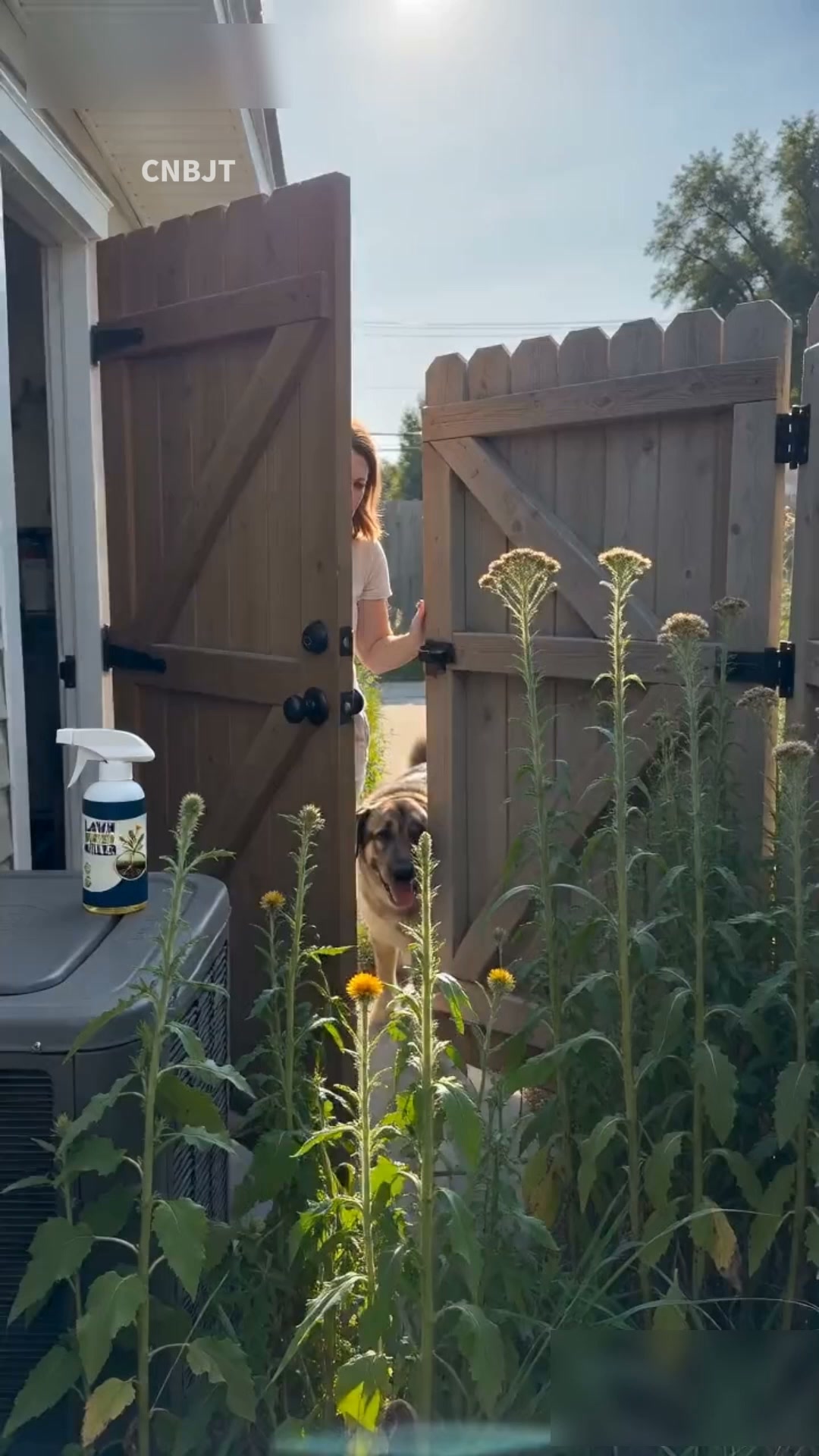 Stop Pulling Weeds. Spray Them Instead.