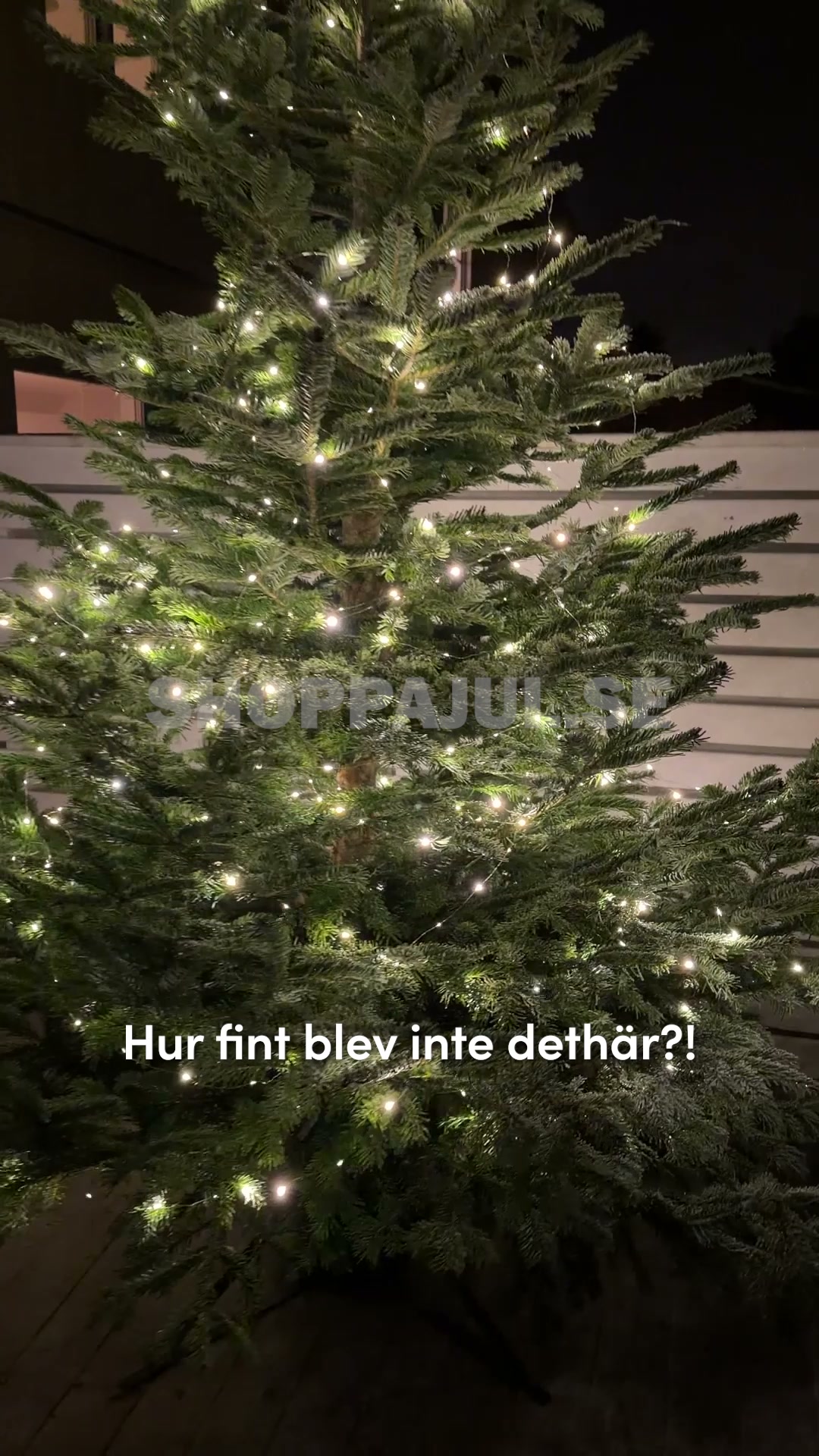 Julgransbelysning
