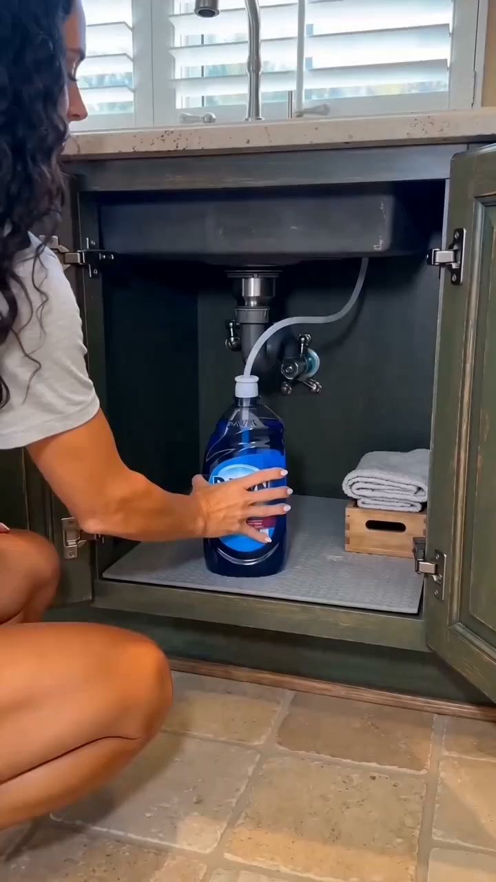 Kitchen Sink Soap Dispensers