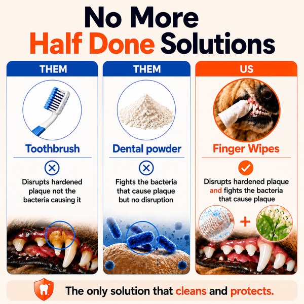 Clean your dog's teeth in 30 seconds without brushing