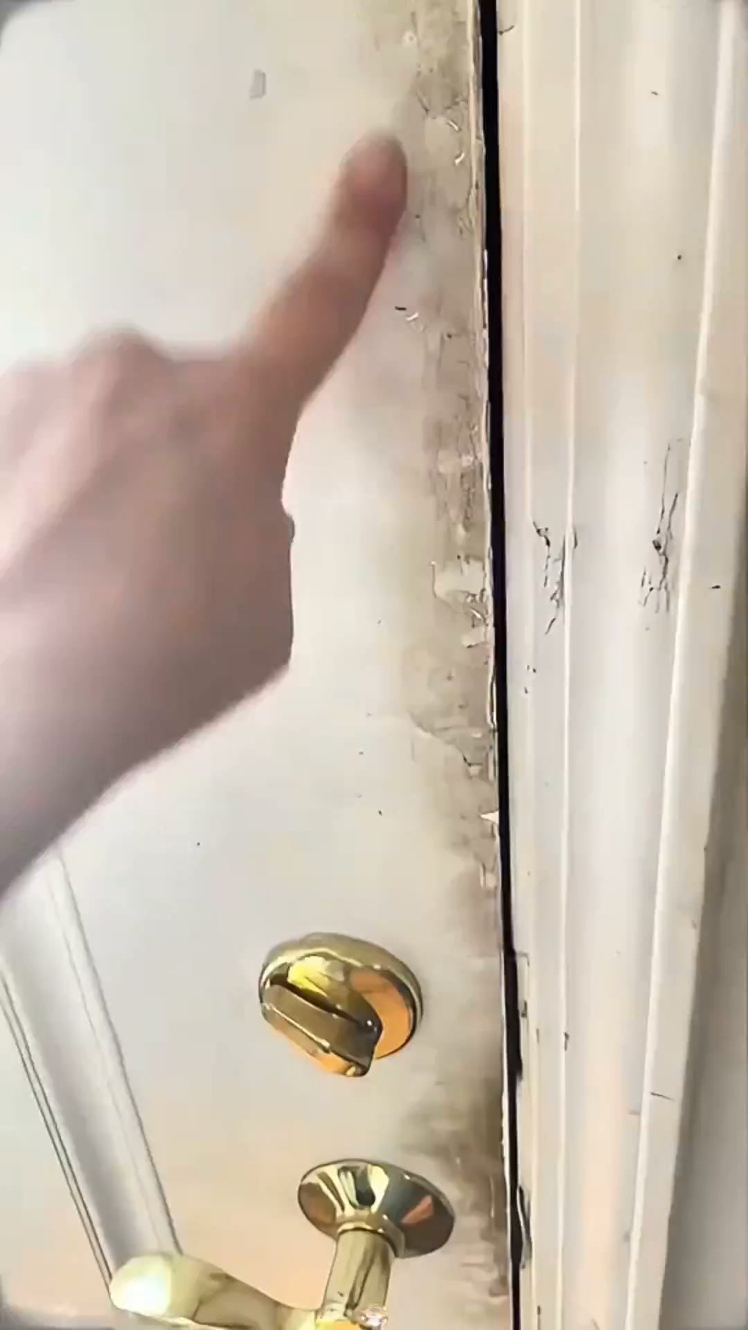 Limpeza a Vapor Potente, Sem Detergentes