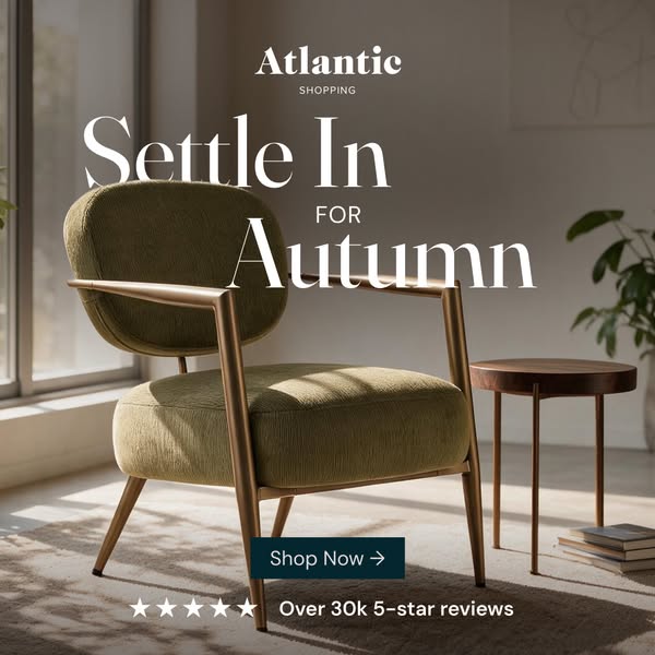 Shop Dining Chairs