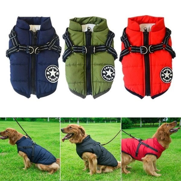Winter Warmth for Your Furry Friend