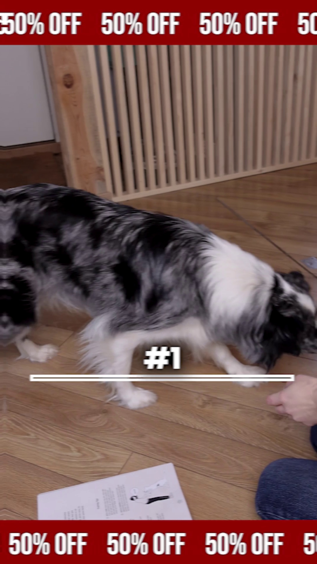 Get the revolutionary dog training book!
