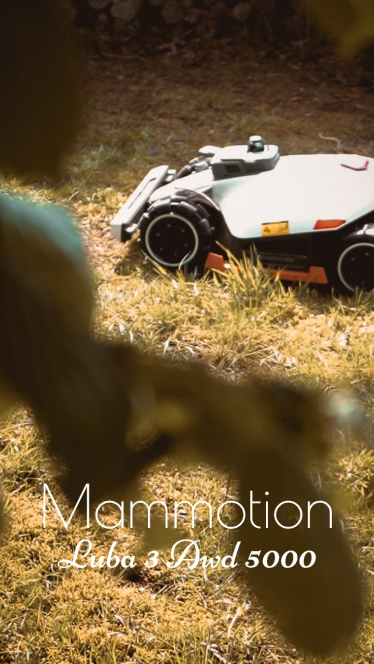 Anúncio de Mammotion