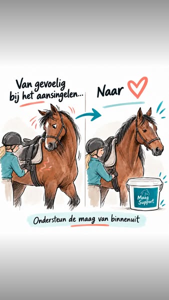 Ondersteun van binnenuit