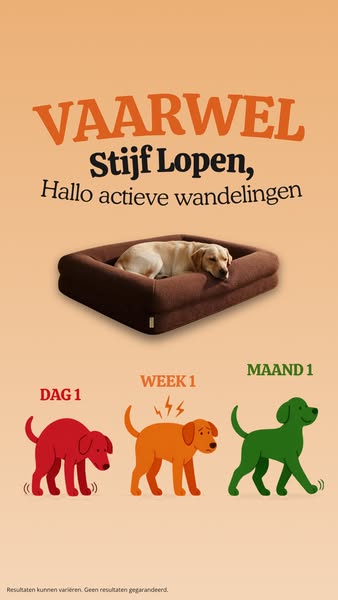 Nu 20% korting + 4 gratis cadeaus!