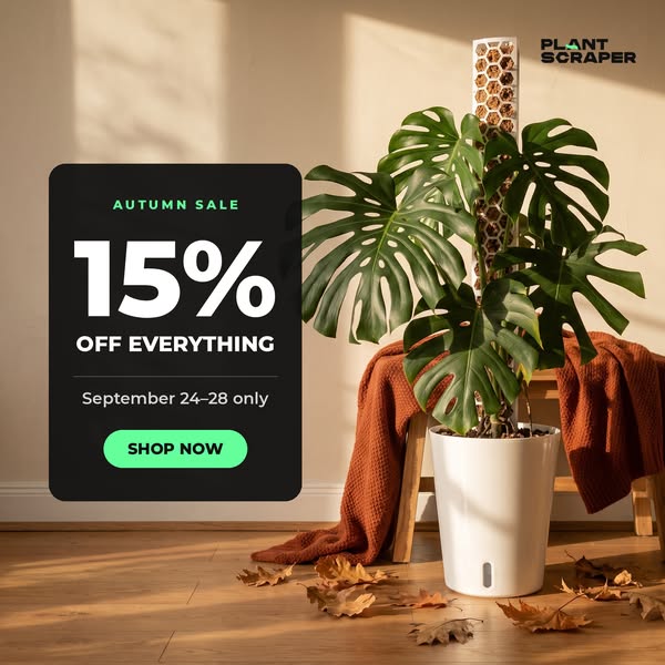 5 days. 15% off. Everything