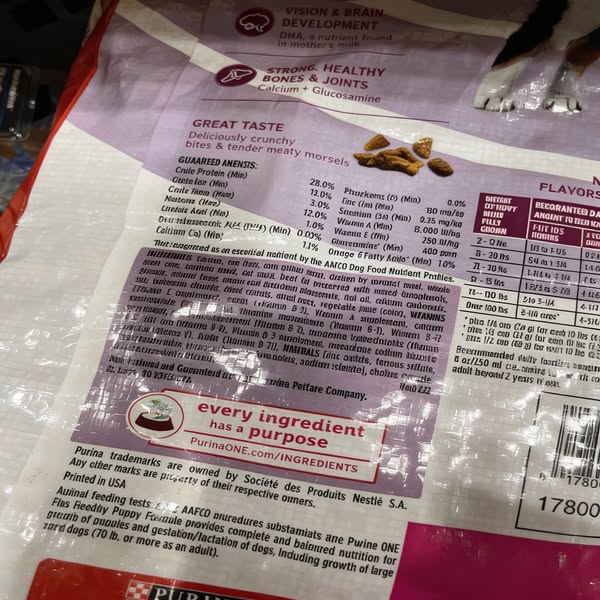 What the dog food industry is hiding from you..