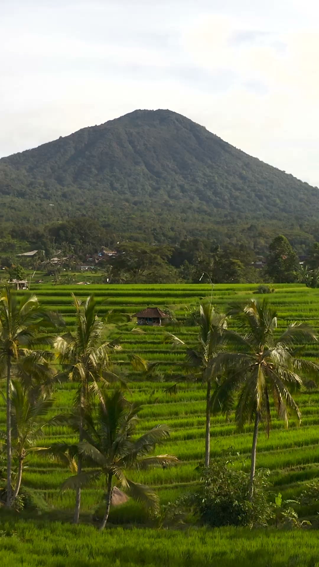 Bali’s Most Immersive 200hr YTT