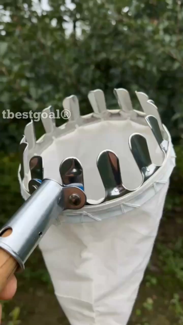 Anúncio de Tbestgoal