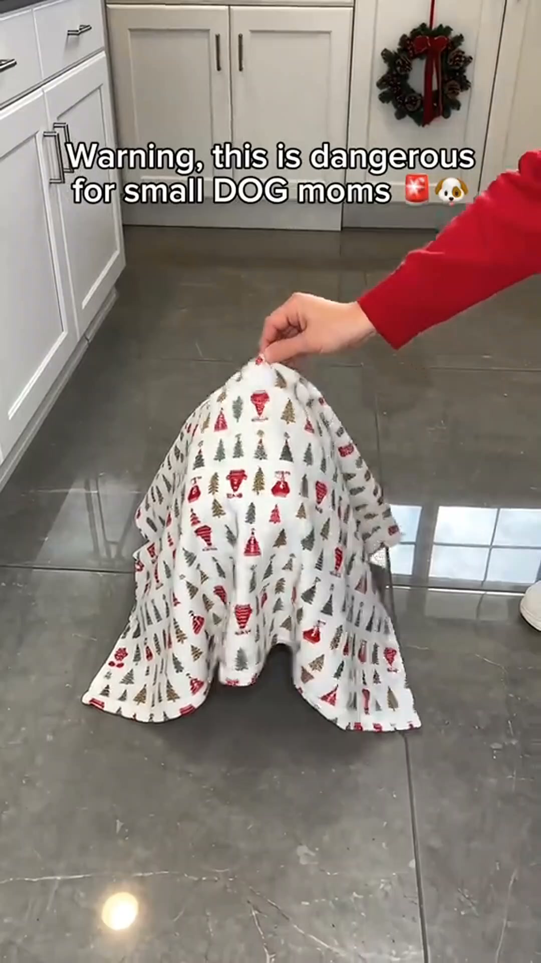 Christmas Winter Pet Sweater | Save 58% | Warm Festive Outfit + Free Shipping