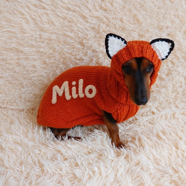 Turn Your Doxie Into a Cozy Little Creature