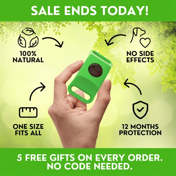 Provide a tick-free life for your pet