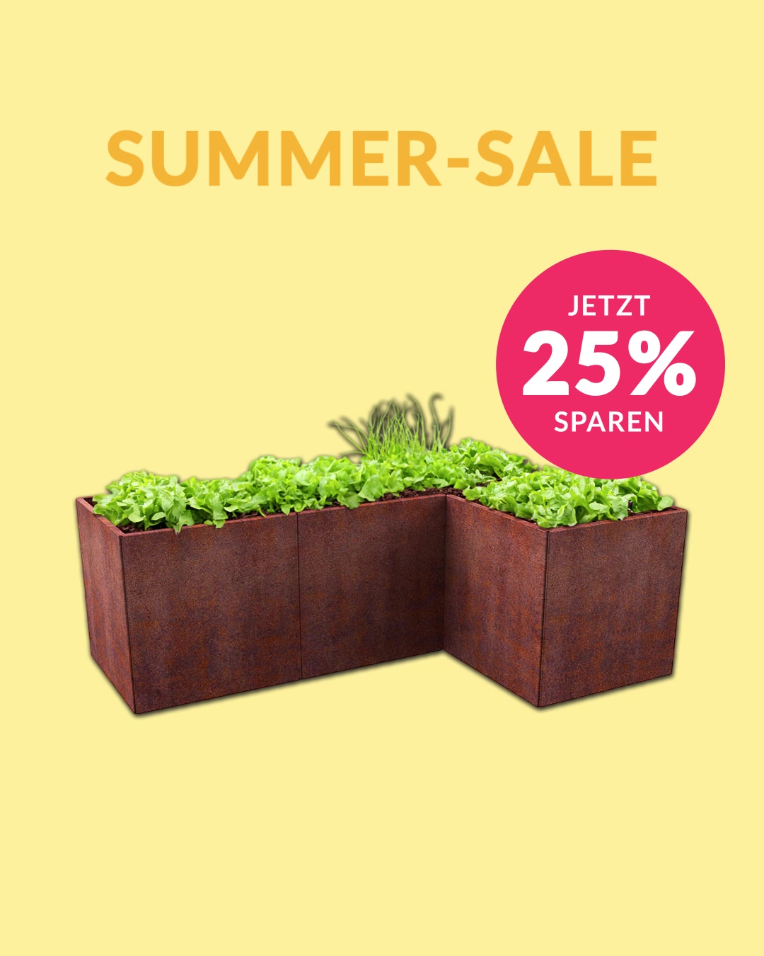 Dein Garten-Upgrade für den Frühling – 25% Rabatt