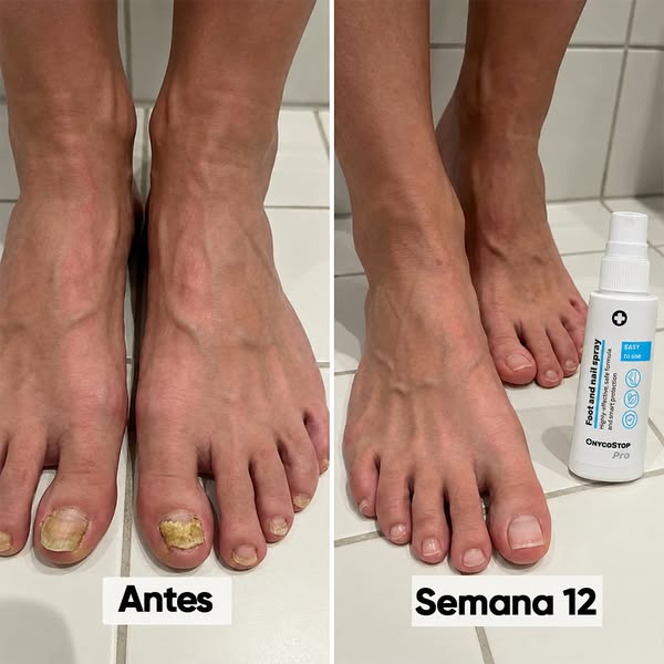"Recomendo, é sensacional!"
