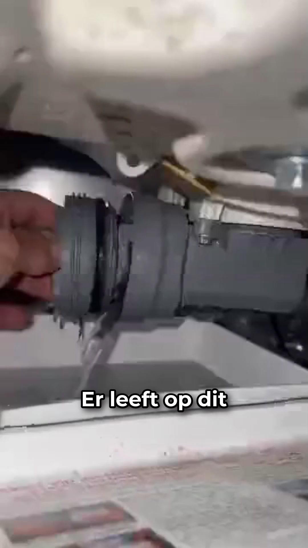 Stop bacteriën & dierengeuren in je wasmachine
