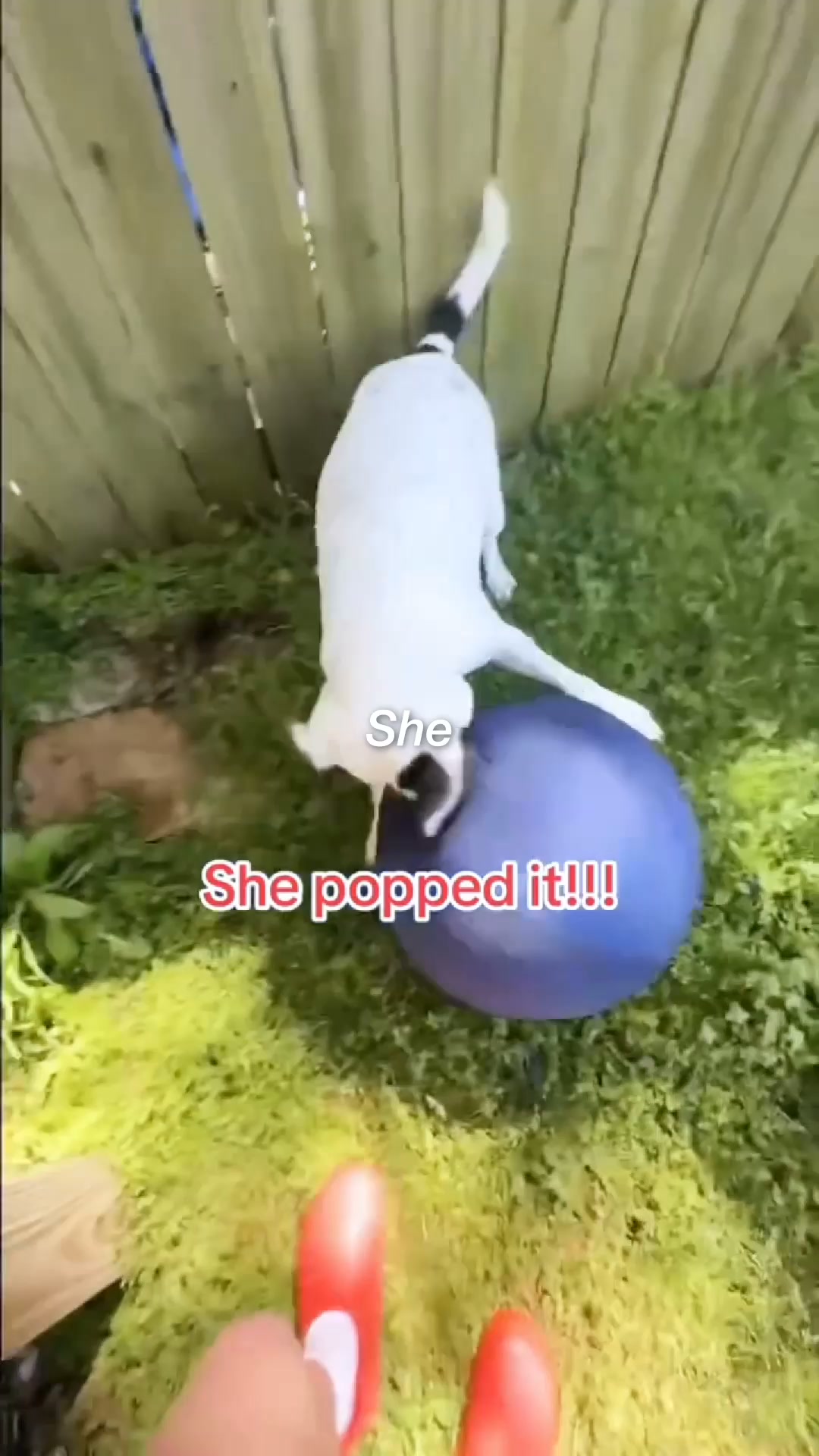The Ball That Finally Gets Them To Settle