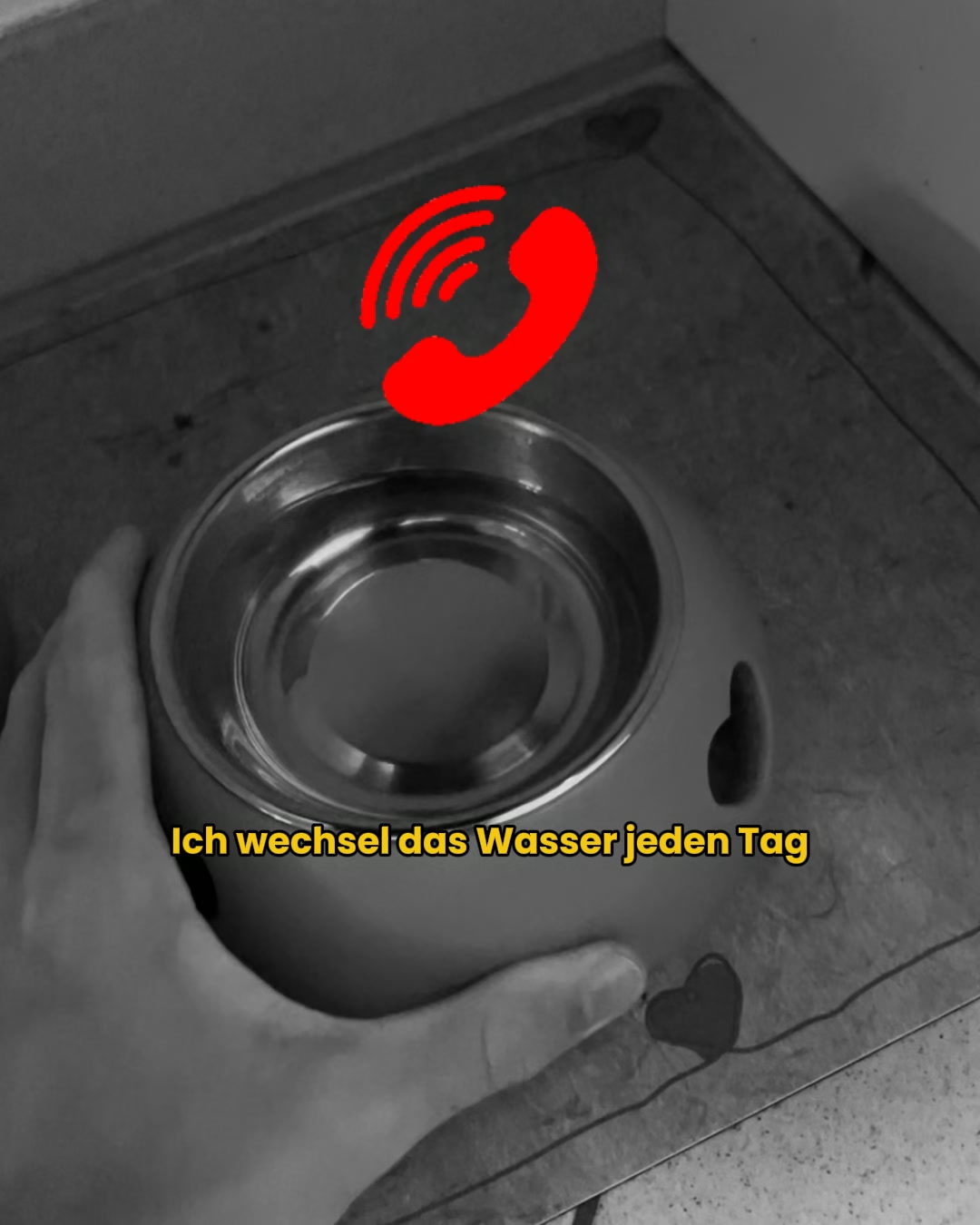 Nicht das Wasser ist das Problem, sondern der Napf.