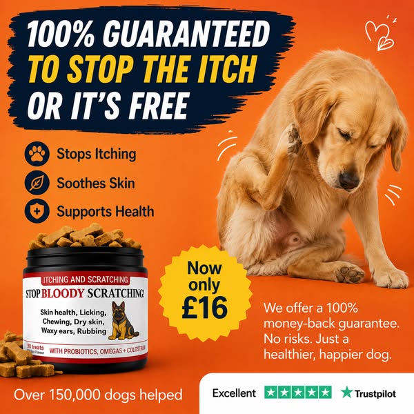 STOP BLOODY SCRATCHING