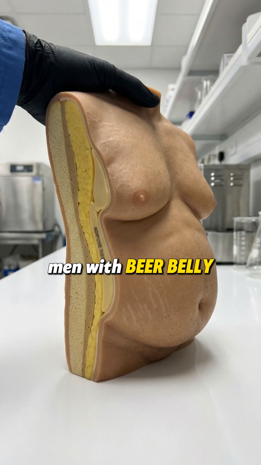 4.8/5