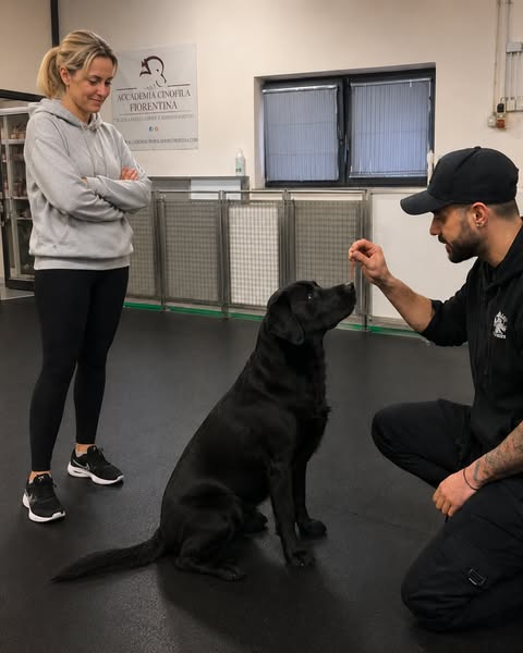 Leggi qui se hai un Labrador