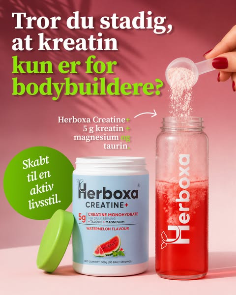 Tror du stadig, at kreatin kun er for bodybuildere?