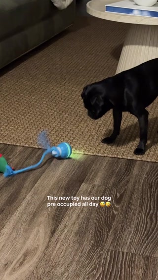 Buy 1, Get 1 FREE: The Chase Buddy