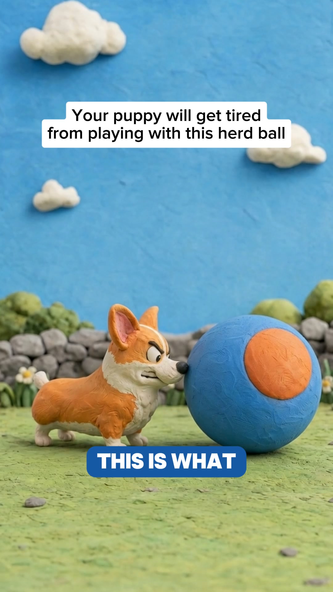 The One Thing Your Dog Actually Needs